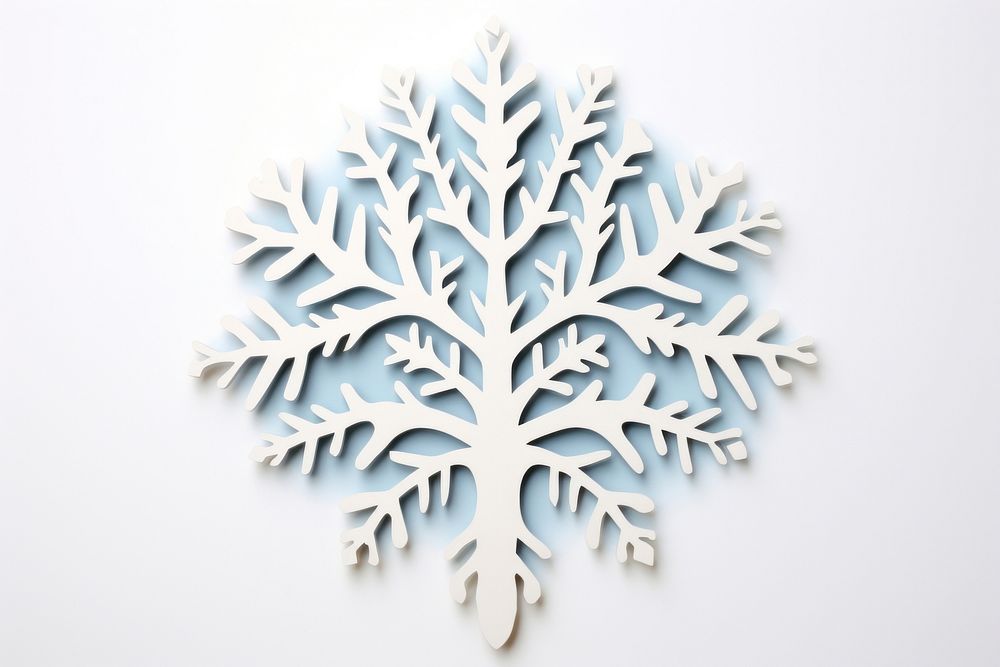 Snowflake plant leaf art.