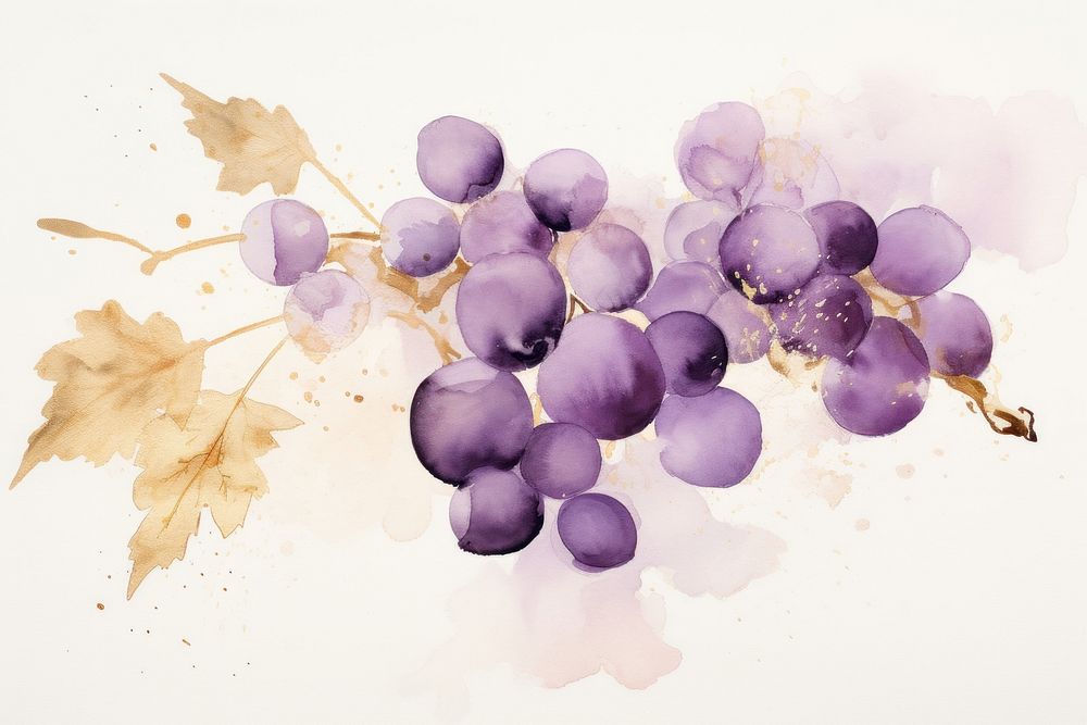 Grape watercolor background grapes painting plant.
