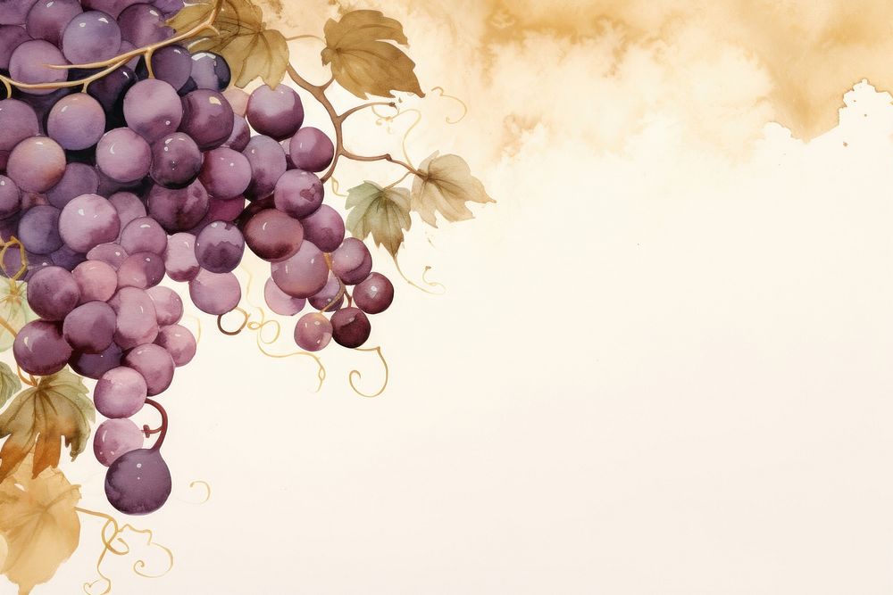 Grape watercolor background grapes plant food.