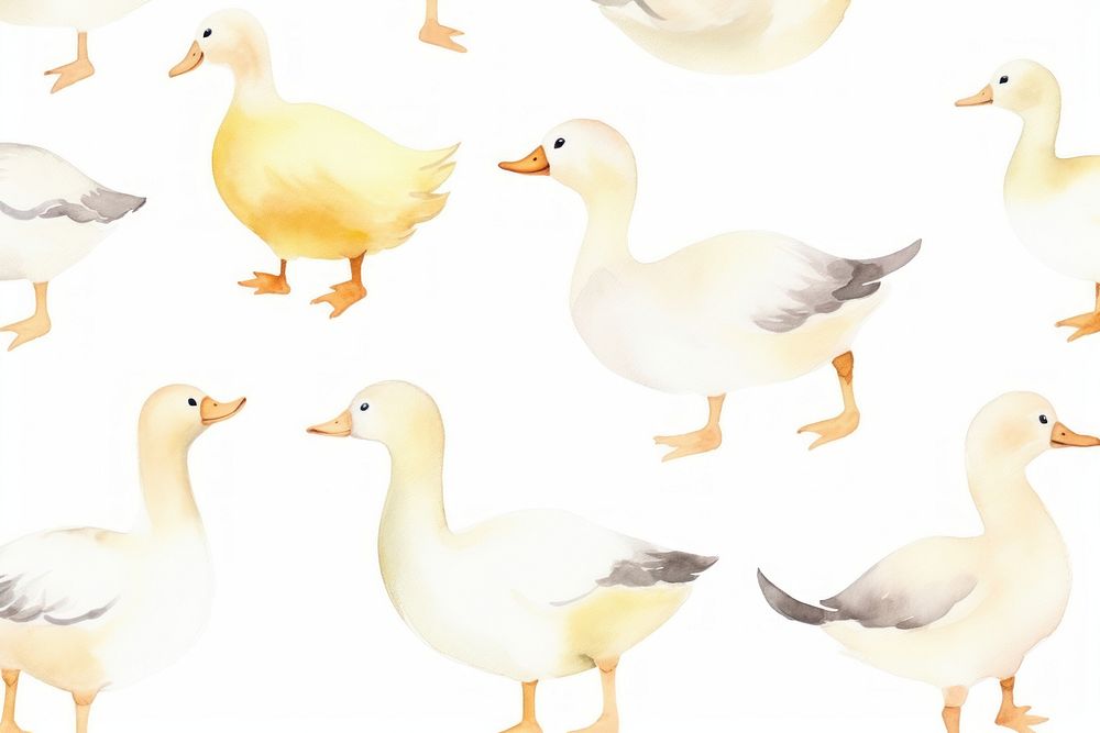 Goose backgrounds pattern animal.