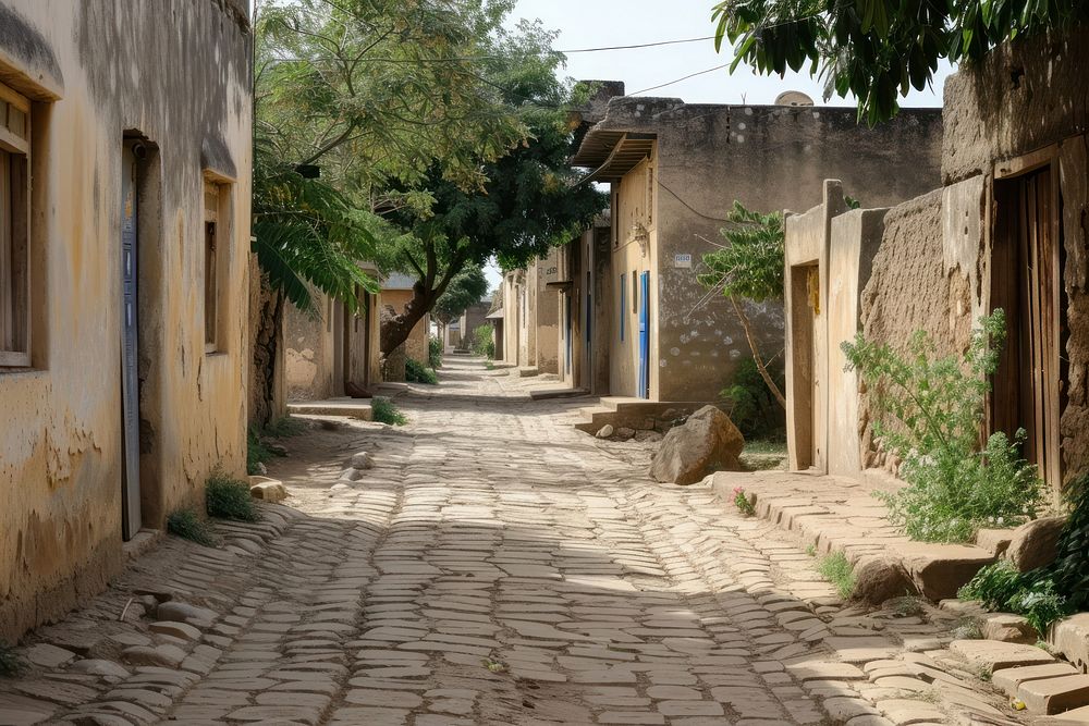 Street old town in Africa outdoors city architecture.