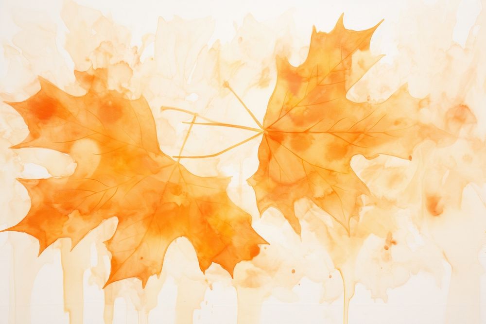Maple watercolor background backgrounds painting plant.