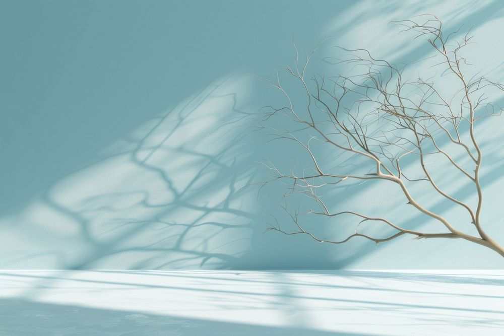 Gentle light blue background tree outdoors branch.