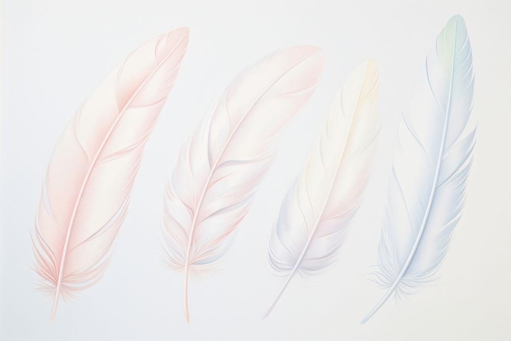 Painting of feathers backgrounds leaf lightweight.