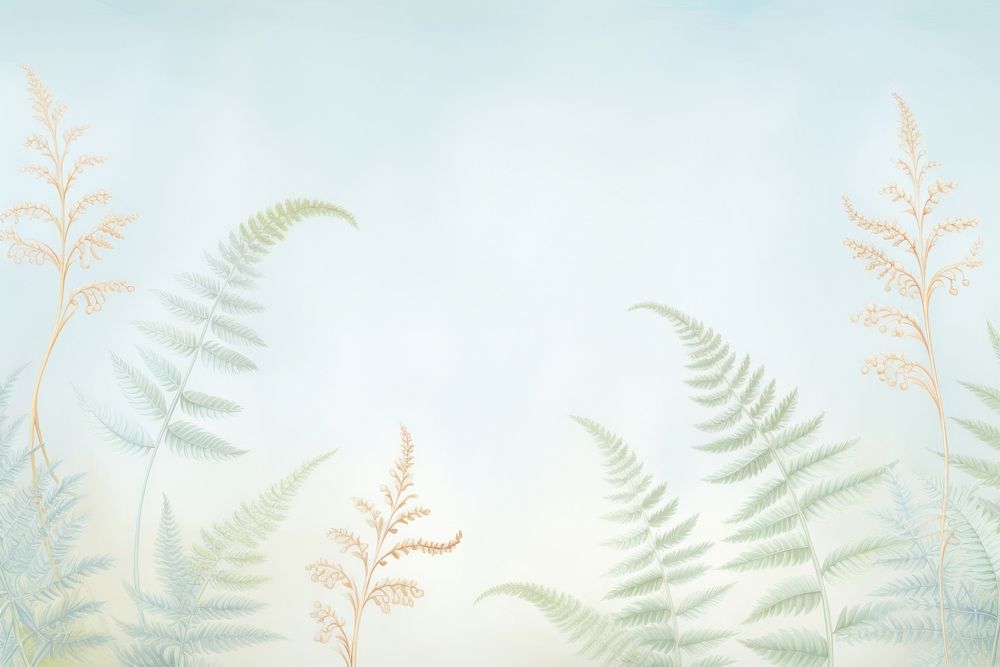 Painting of ferns border backgrounds nature plant.