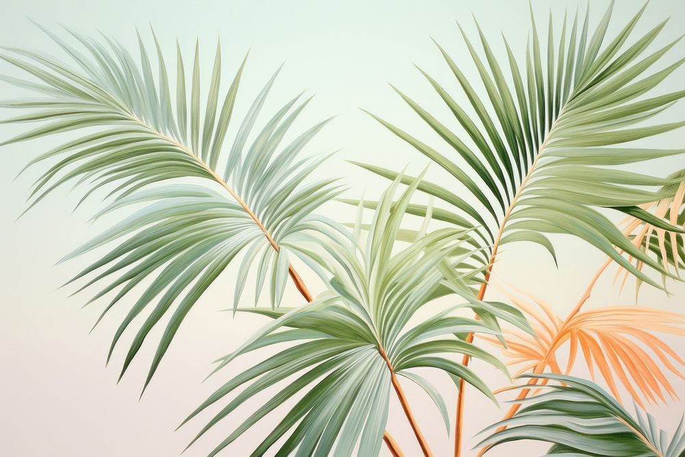 Painting of palm leaves backgrounds outdoors nature.