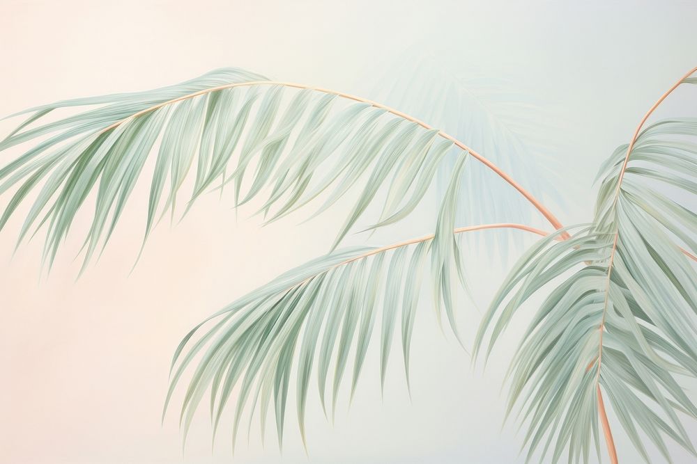Painting of palm leaves backgrounds nature plant.