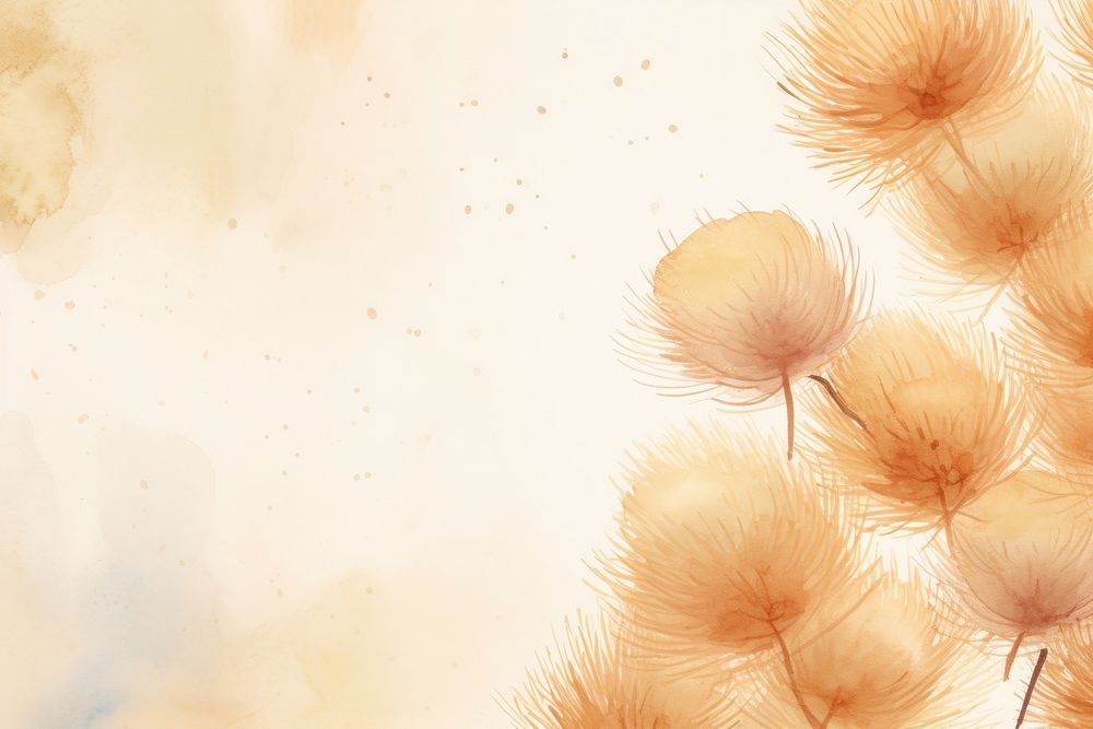Rambutan watercolor background backgrounds plant dandelion.