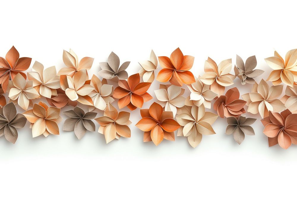 Coffee plant petals plants border origami art backgrounds.