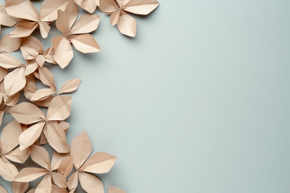Coffee plant petals plants border origami backgrounds paper.