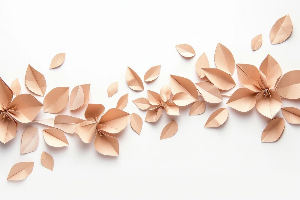 Coffee plant petals plants border flower backgrounds origami.