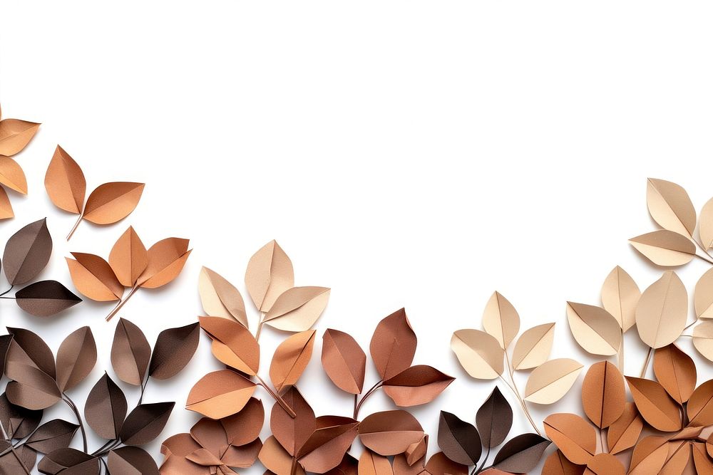 Coffee plant petals plants border backgrounds pattern origami.