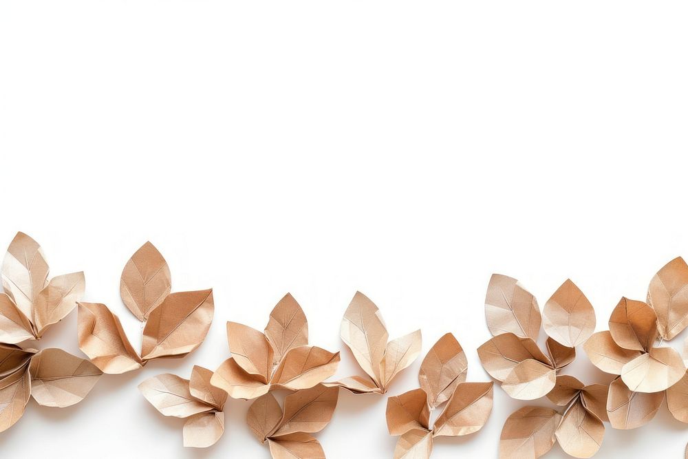 Coffee plant petals plants border backgrounds origami flower.