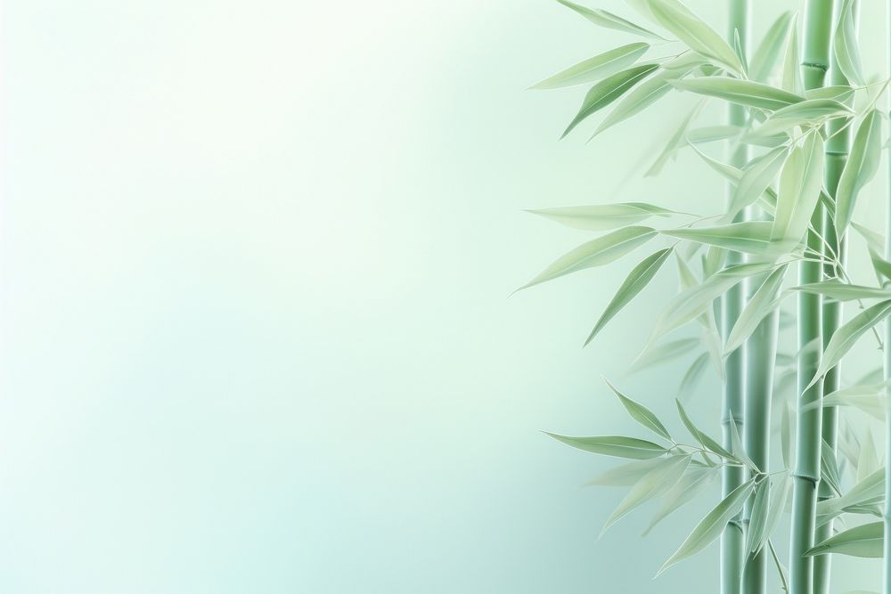 Bamboos gradient background backgrounds plant green.