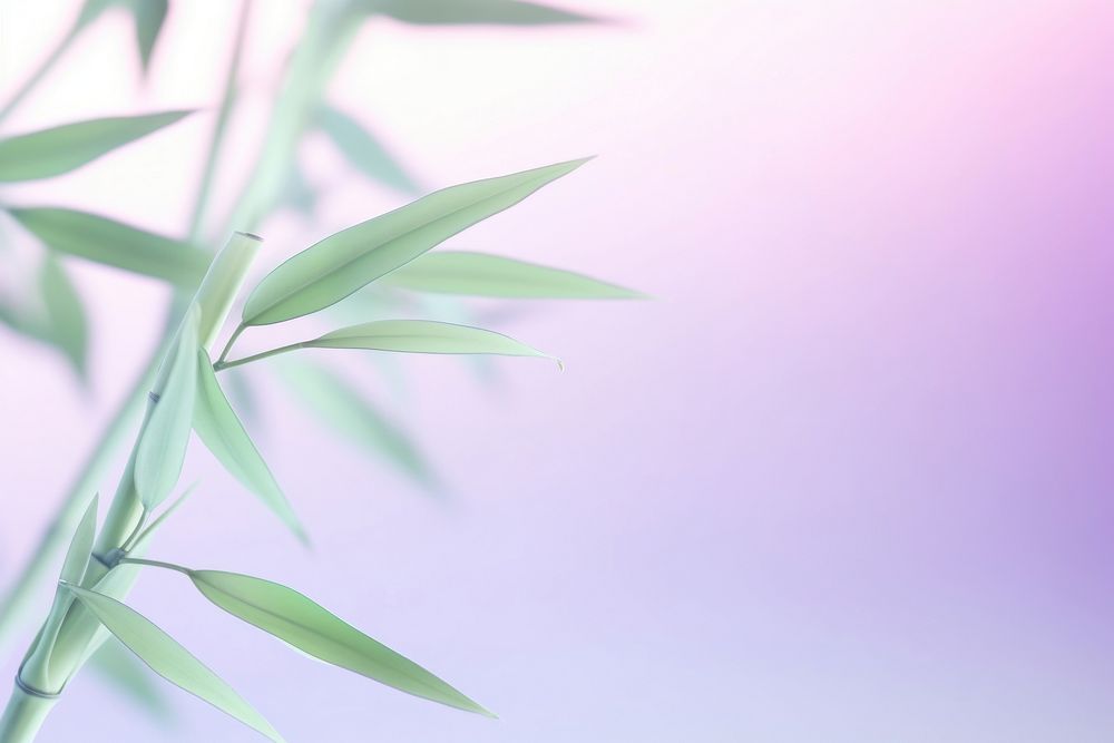 Bamboos gradient background backgrounds plant green.