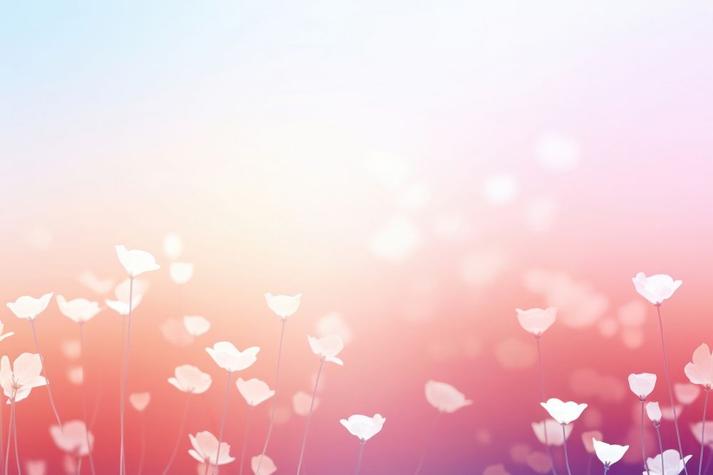 Flowers wedding gradient background backgrounds abstract outdoors.
