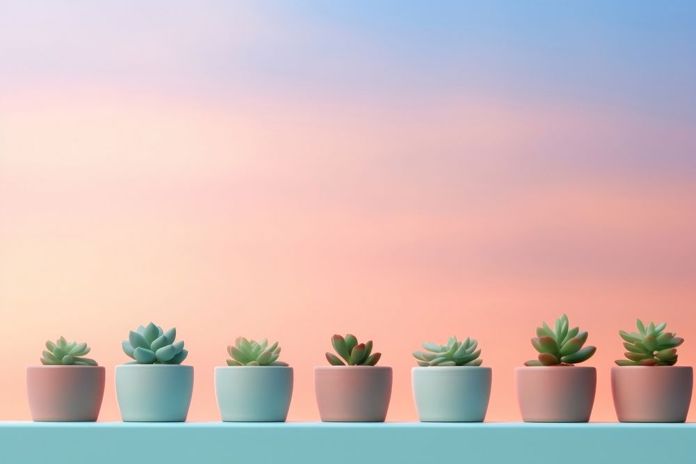 Plant pots gradient background outdoors nature green.