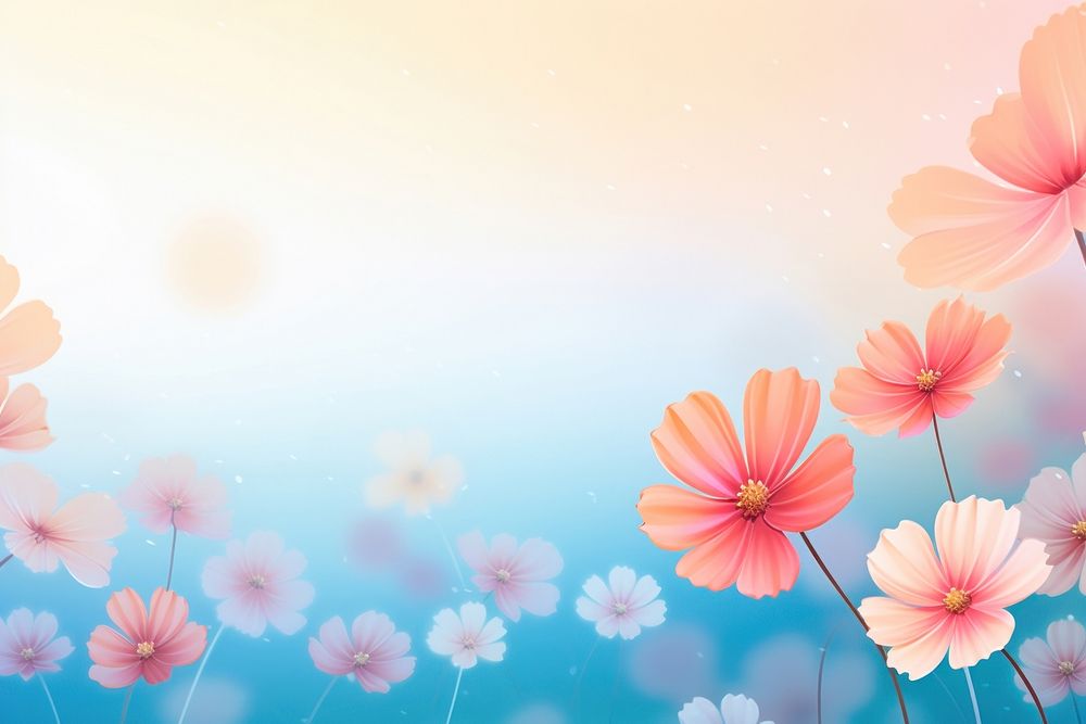 Summer flowers gradient background backgrounds outdoors blossom.