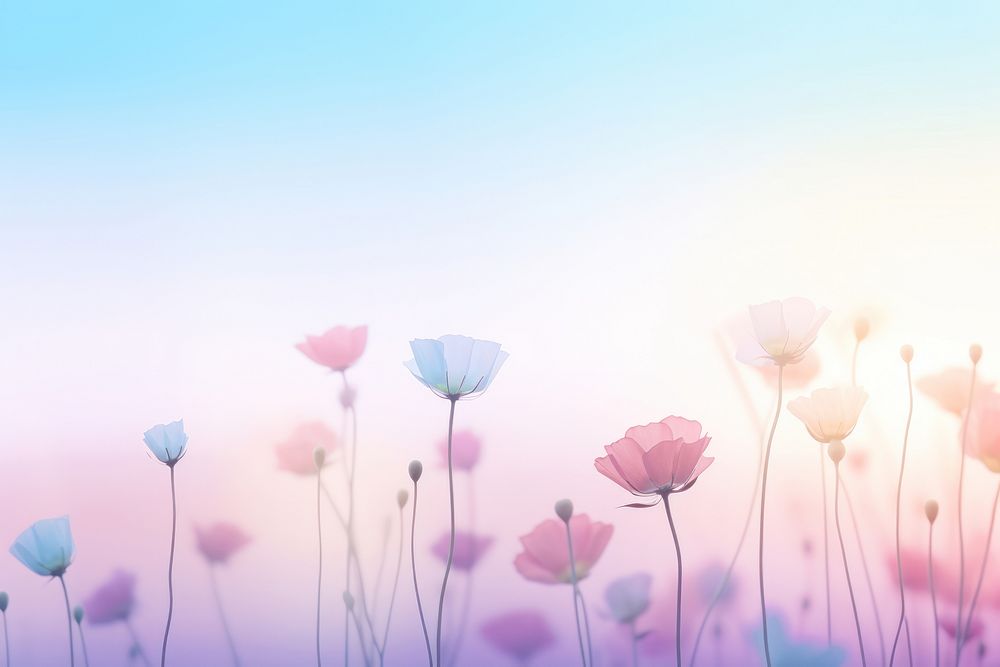 Spring flowers gradient background backgrounds abstract outdoors.