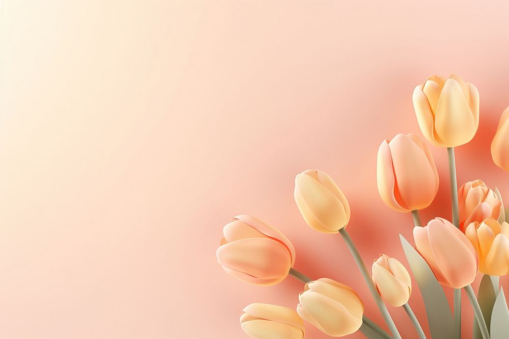 Tulips gradient background outdoors flower nature.