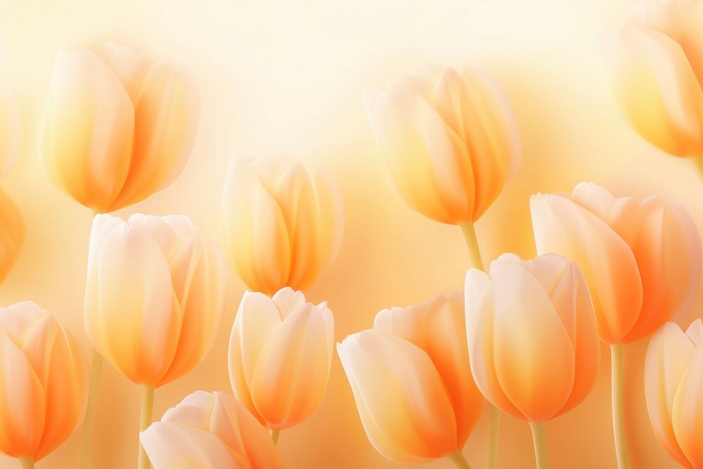 Tulips gradient background backgrounds flower yellow.