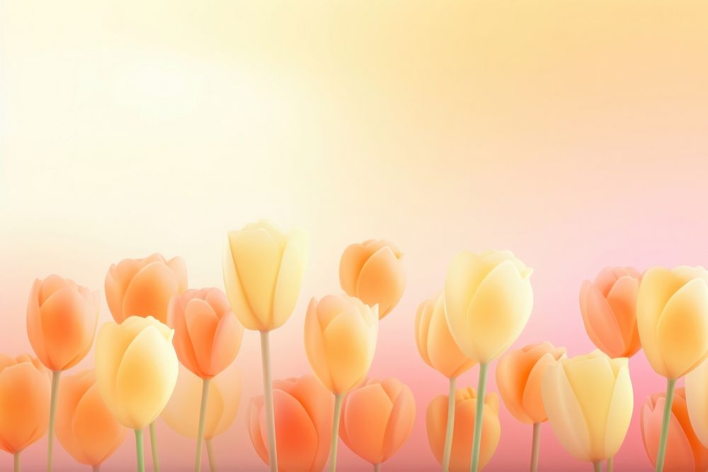 Tulips gradient background backgrounds outdoors flower.
