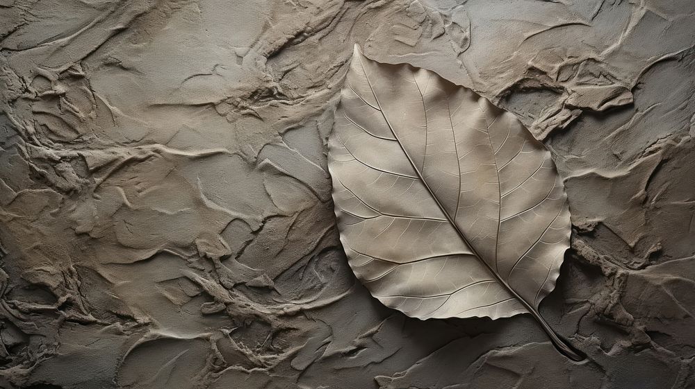Leaf texture wall backgrounds.