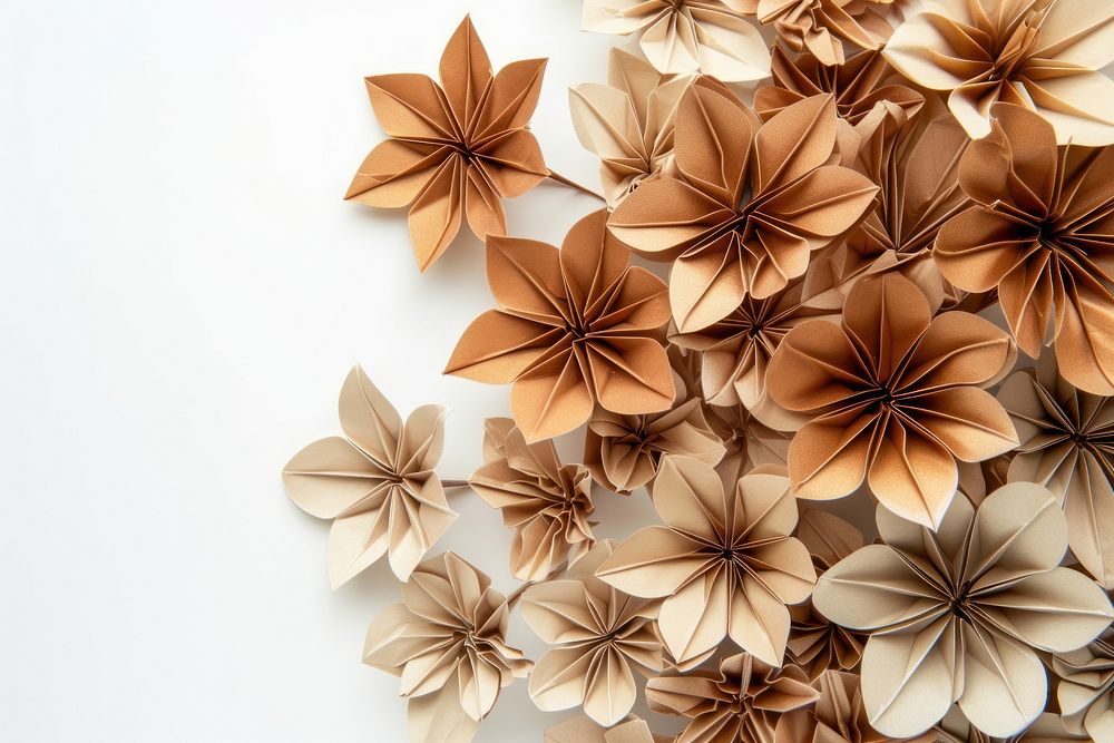 Bouquet border art backgrounds origami.