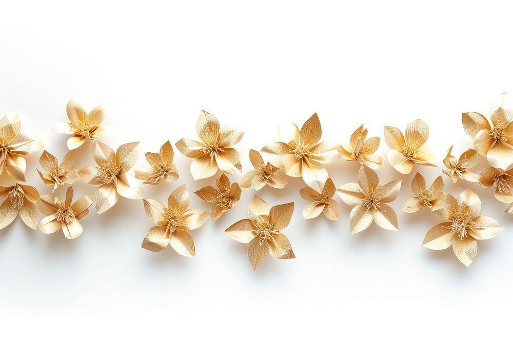 Gold flower plants border jewelry petal white.