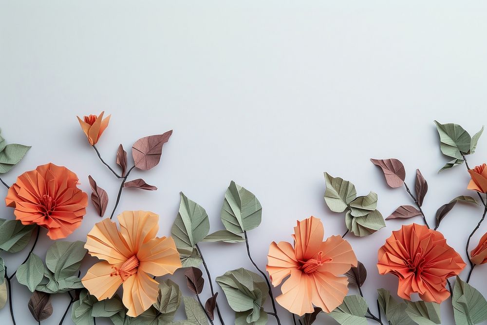 Hibiscus plants border art backgrounds origami.