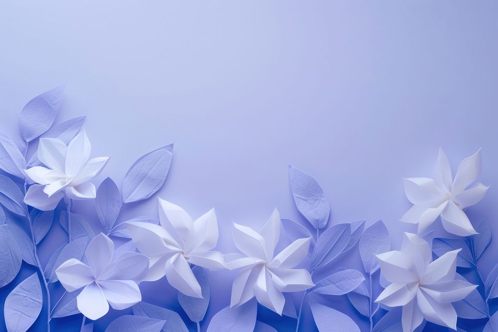 Jasmine petals plants border backgrounds flower blue.