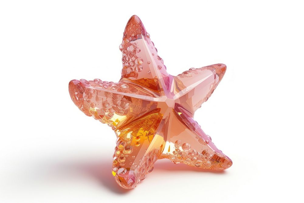 Starfish jewelry pink accessories.