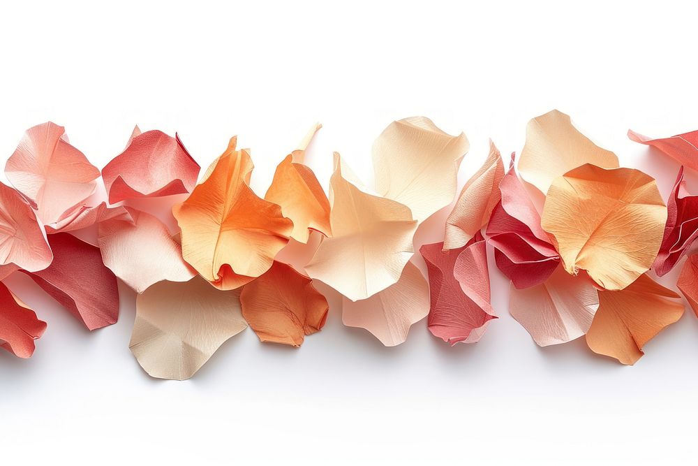 Rose petals plants border flower origami paper.