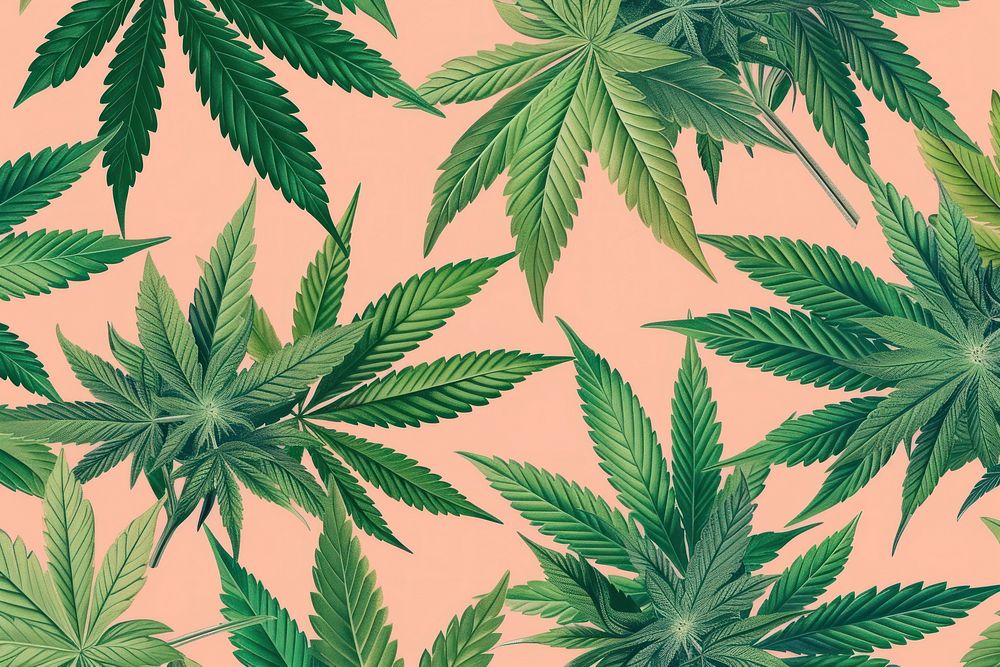 Realistic hand drawing of cannabis bud backgrounds pattern plant.
