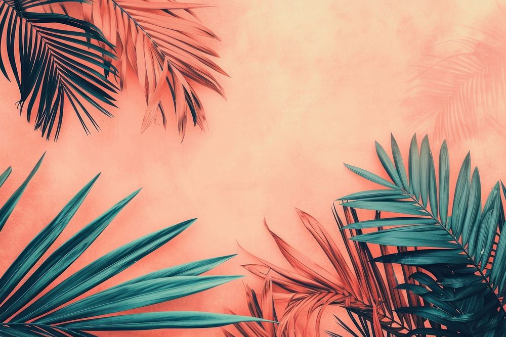 Vintage drawing of palm leaves backgrounds outdoors tropical.