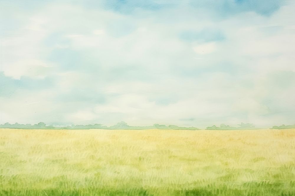 Background rice field backgrounds grassland landscape.