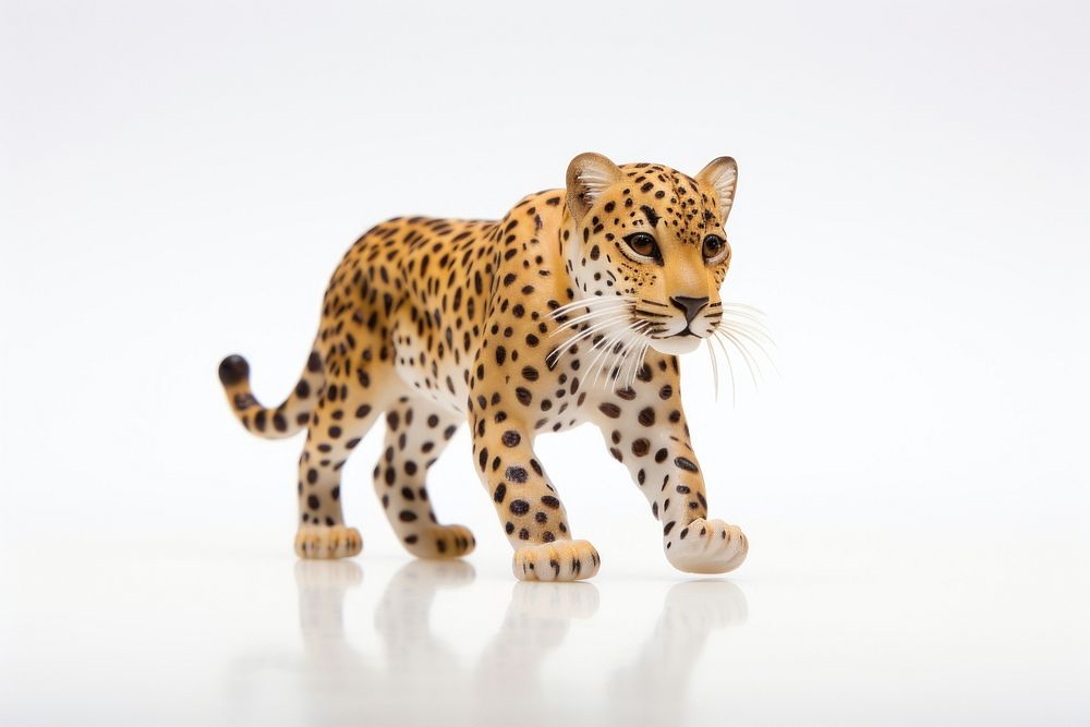 Leopard wildlife cheetah mammal.