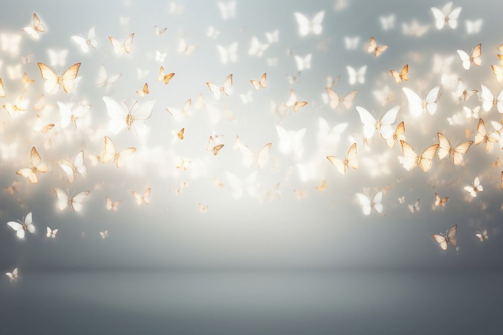 Blur butterflies glow line on grey background backgrounds abstract nature.