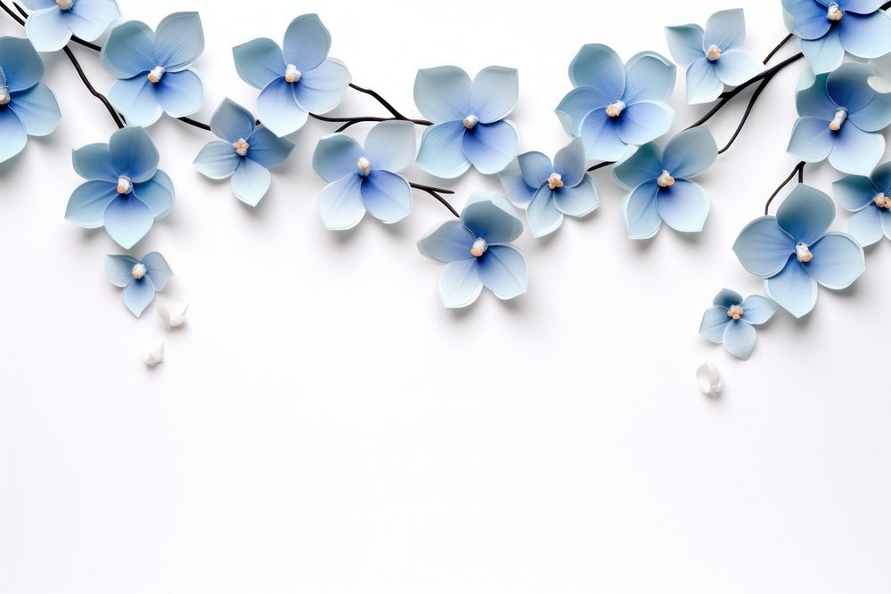 Blue orchid flowers border blossom nature petal.