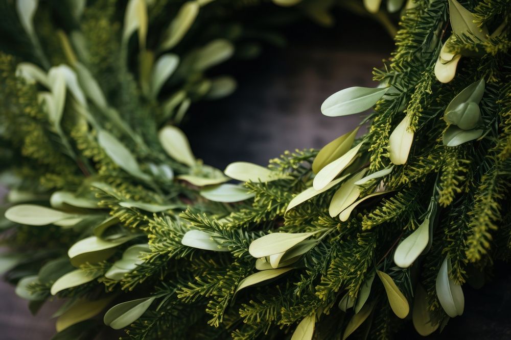 Making Wreaths wreath christmas plant.