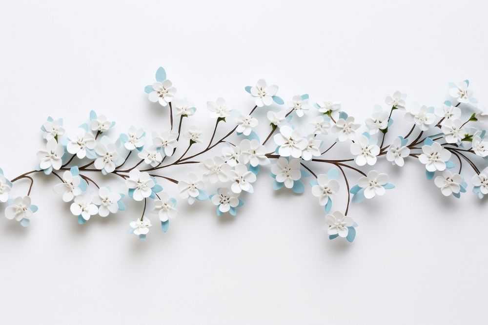 Gypsophila flowers jewelry plant white.