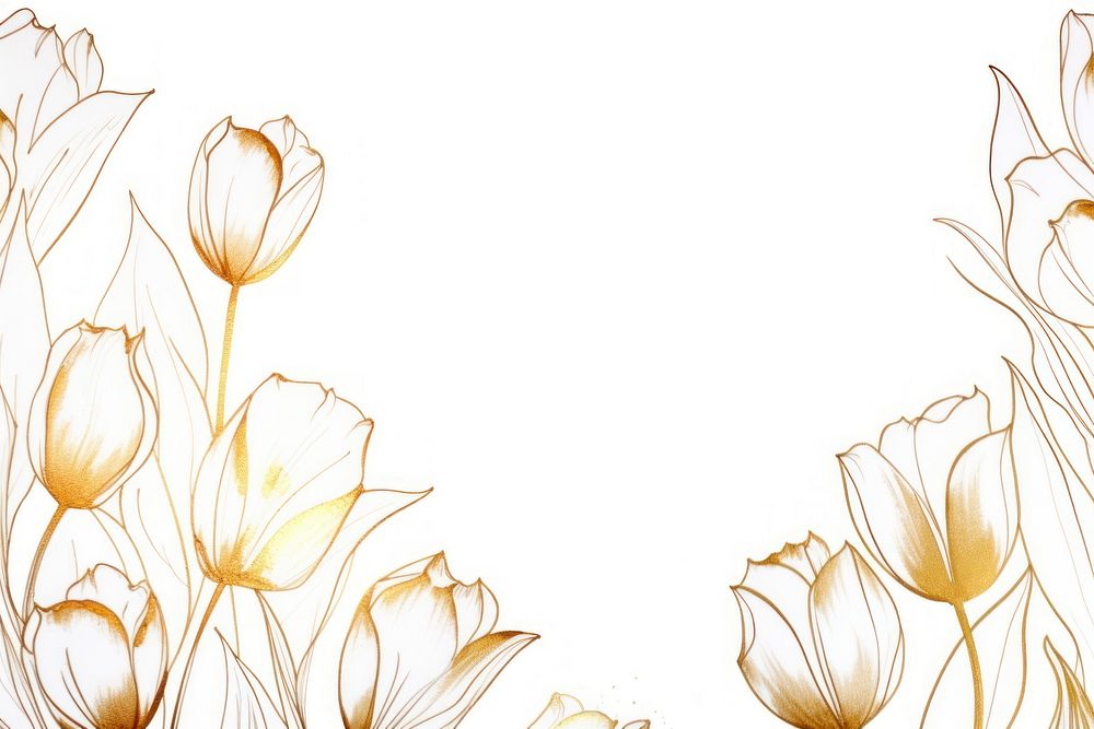 Tulip flowers border frame backgrounds pattern drawing.