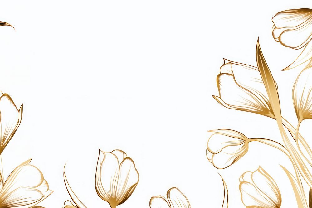 Tulip flowers border frame drawing sketch backgrounds.