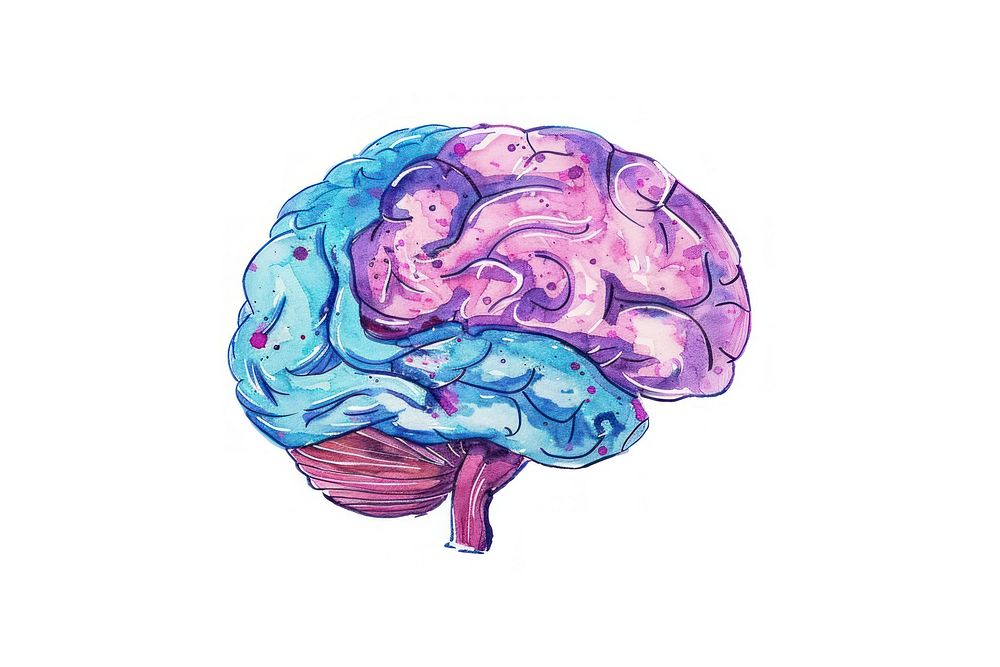 Hand-drawn sketch brain drawing illustrated medical.