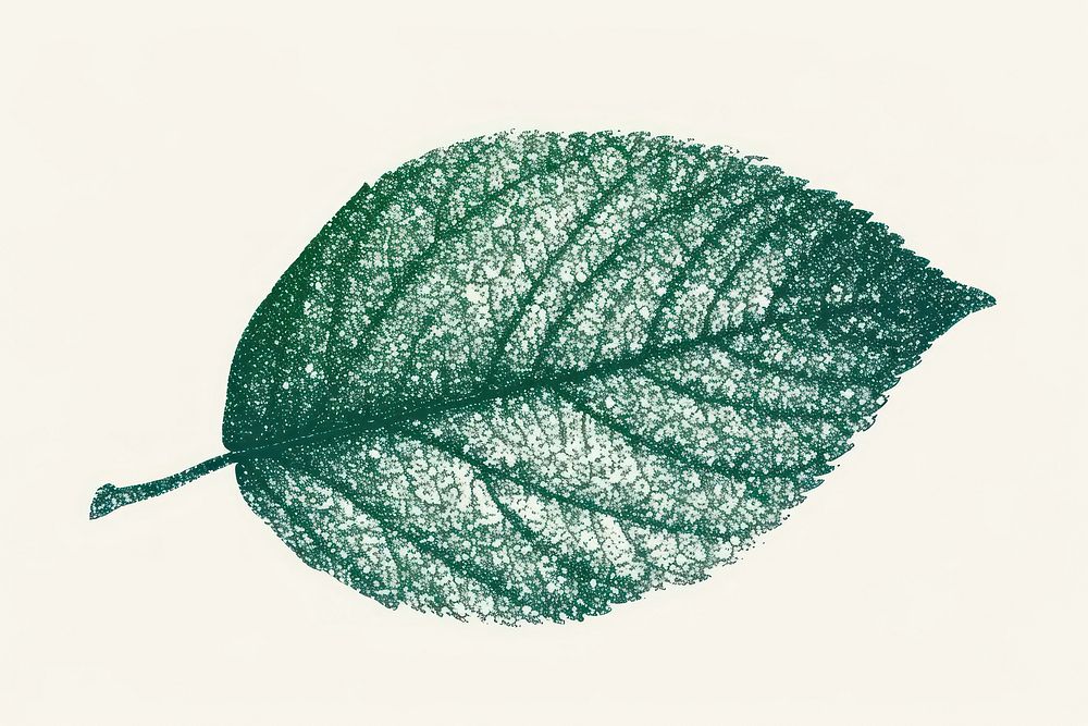Leaf shape nature plant textured.