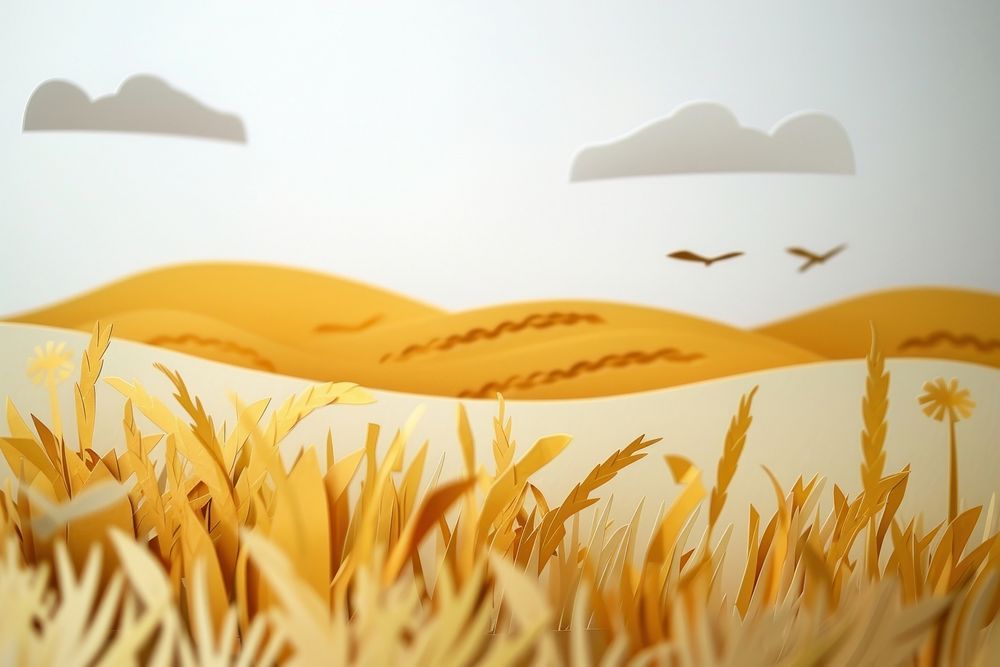 Field background landscape nature wheat.
