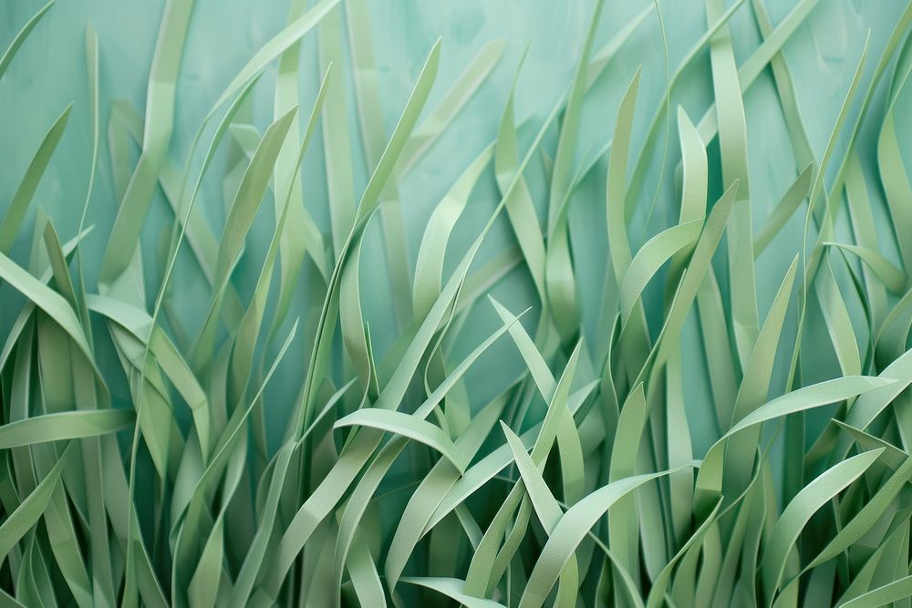 Grass background backgrounds outdoors nature.