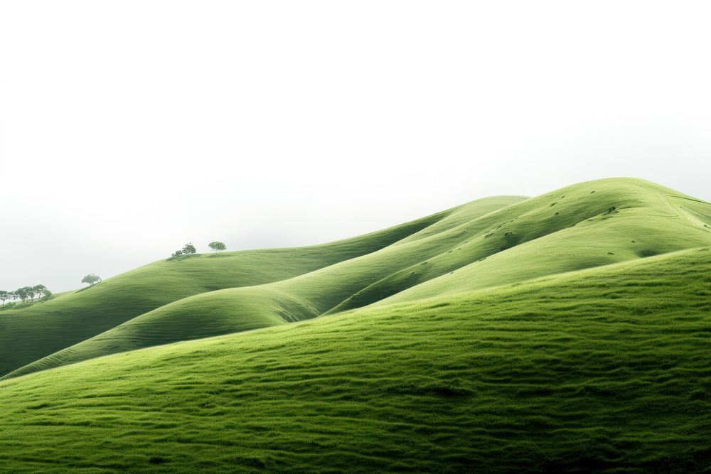 Green hill landscape grassland.