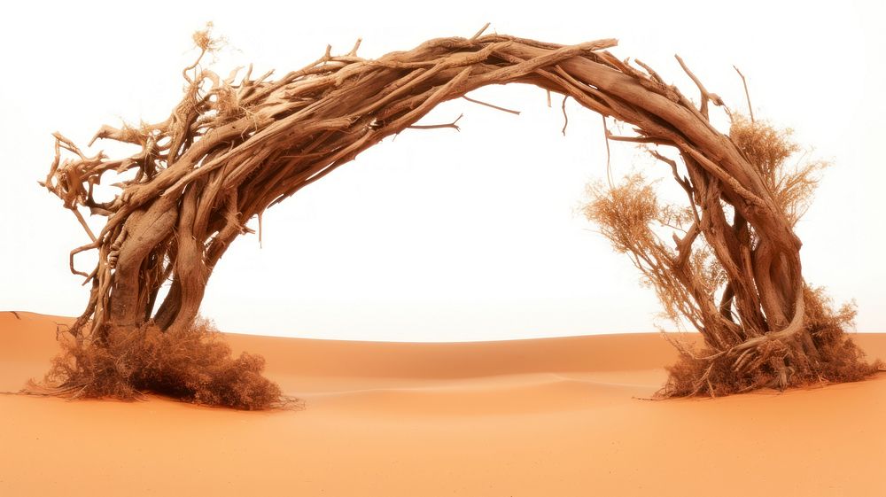 Desert arch landscape nature.