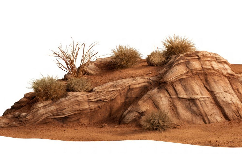 Desert outdoors nature soil.